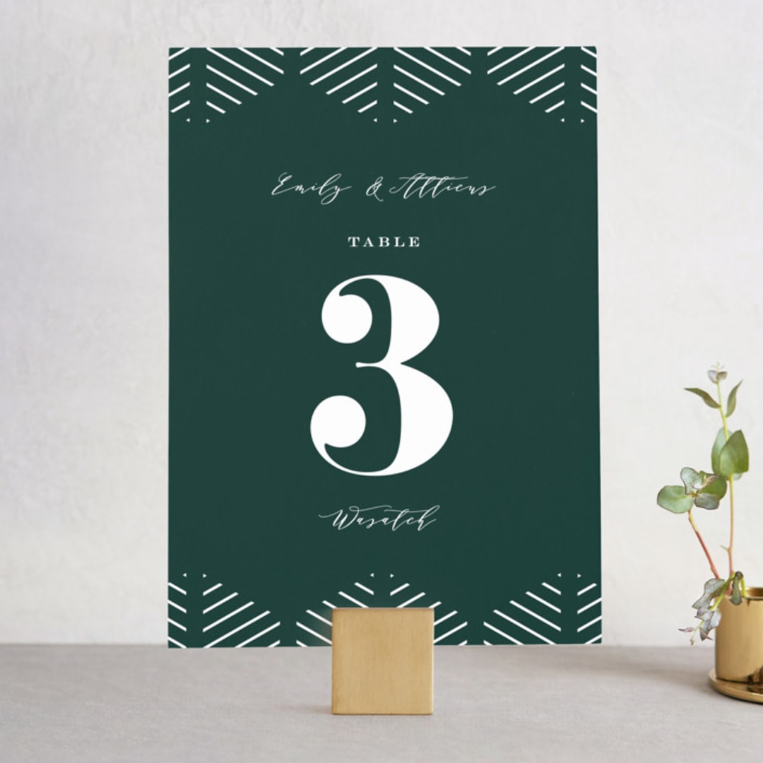"Picture Perfect" - Table Numbers in Diamond by Amy Payne - Front