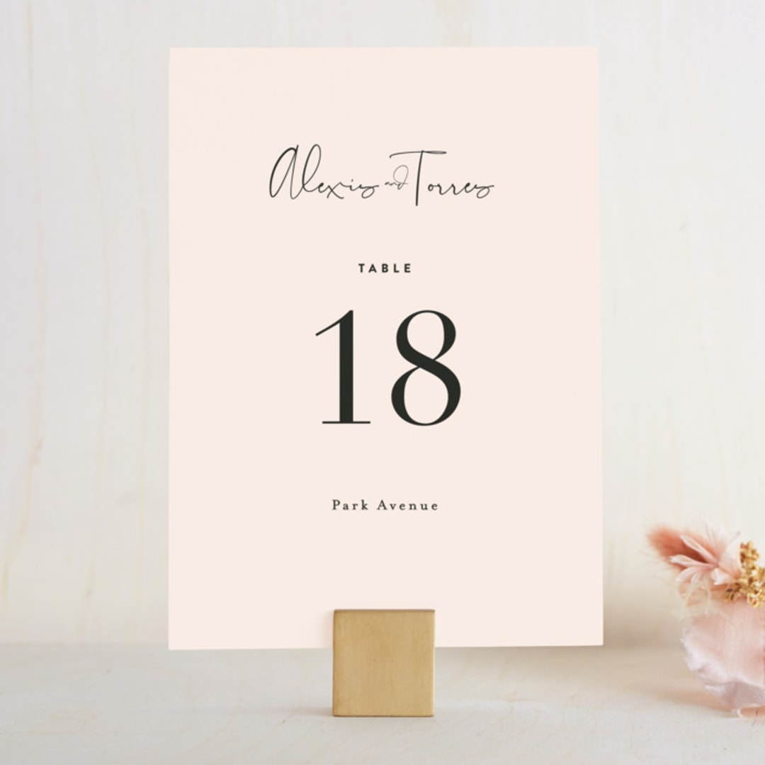 "Just the Two of Us" - Table Numbers in Blush by Jennifer Wick - Front