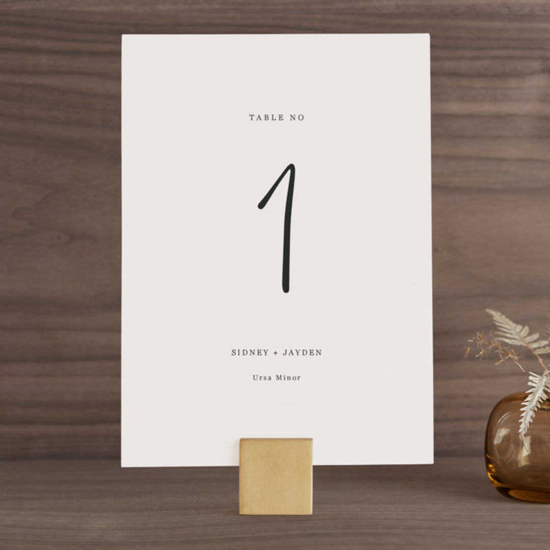 "stylist script" - Table Numbers in Ivory by Cass Loh - Front