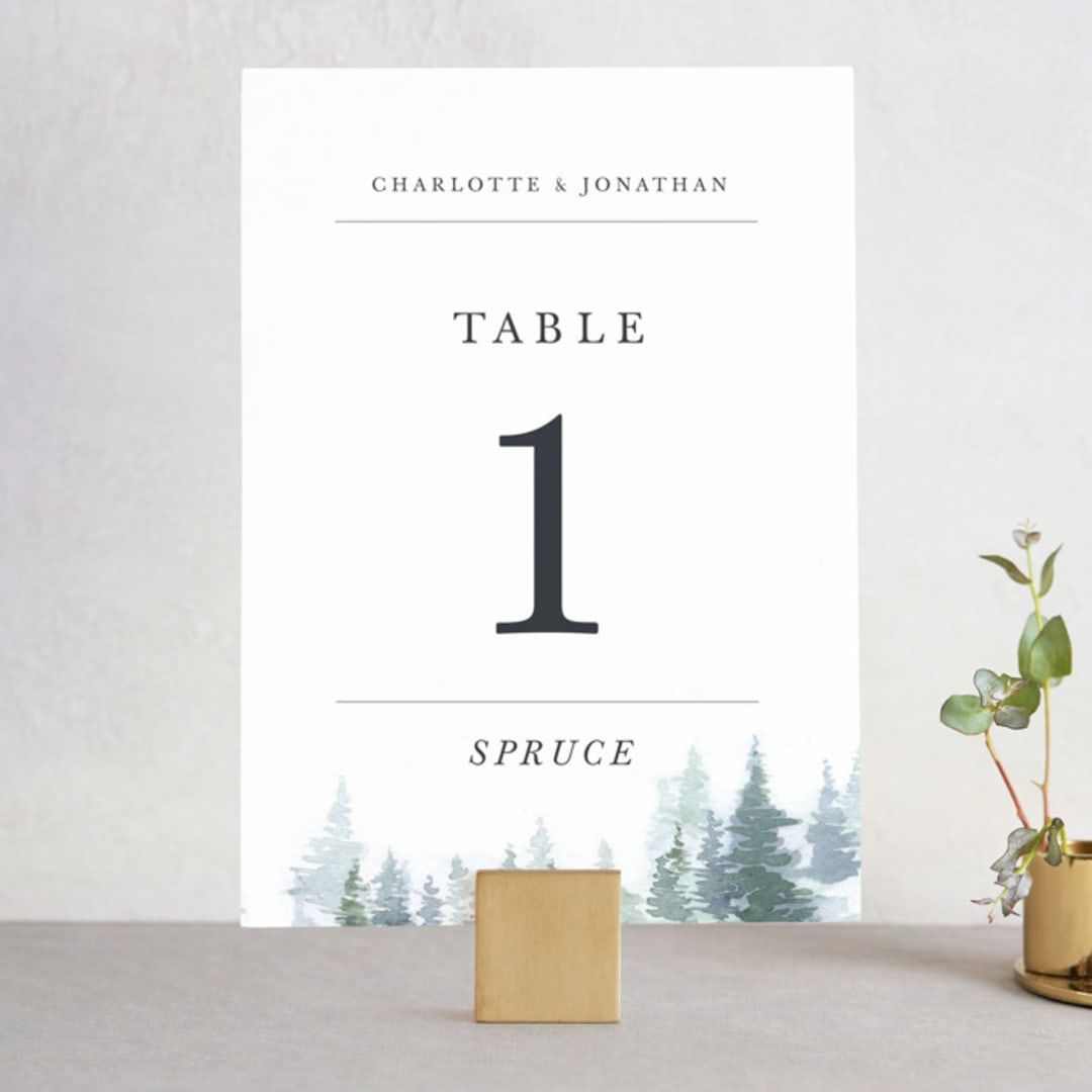 "painted woods" - Table Numbers in Rain by Anne Kostecki - Front