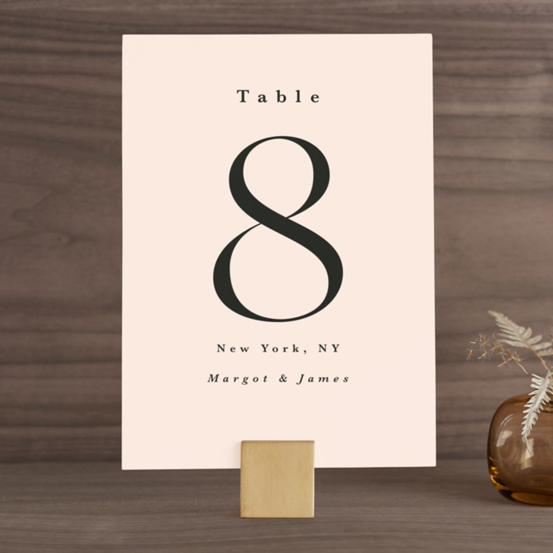 "SoHo" - Table Numbers in Blush by Hudson meet Rose - Front