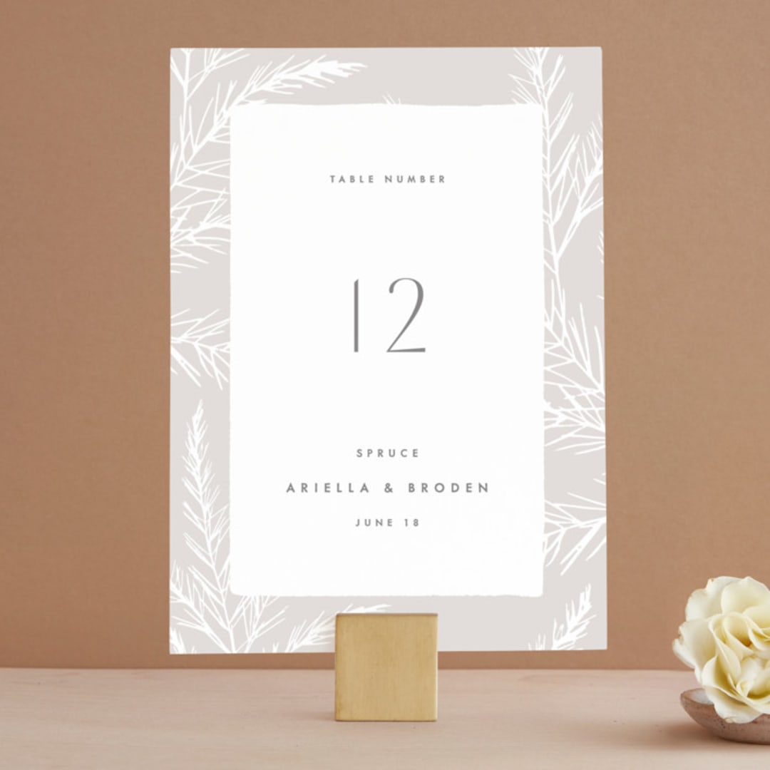 "Winter Birch" - Table Numbers in Natural by Melanie Severin - Front