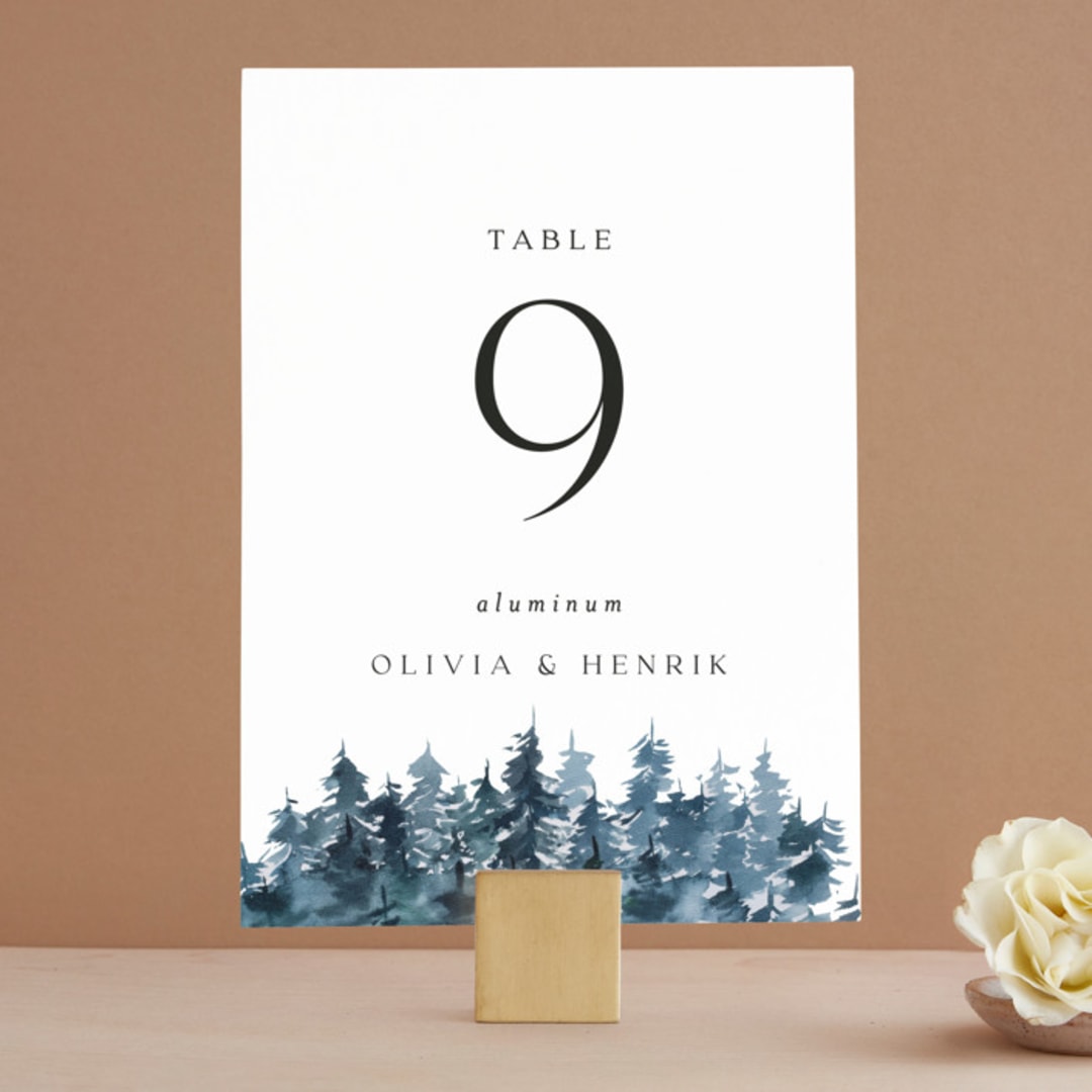 "Airy Mountain" - Table Numbers in Air by Janean Hinger - Front