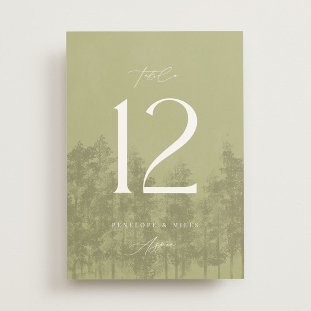 "Aspen" - Table Numbers in Lake by Robert and Stella - Front