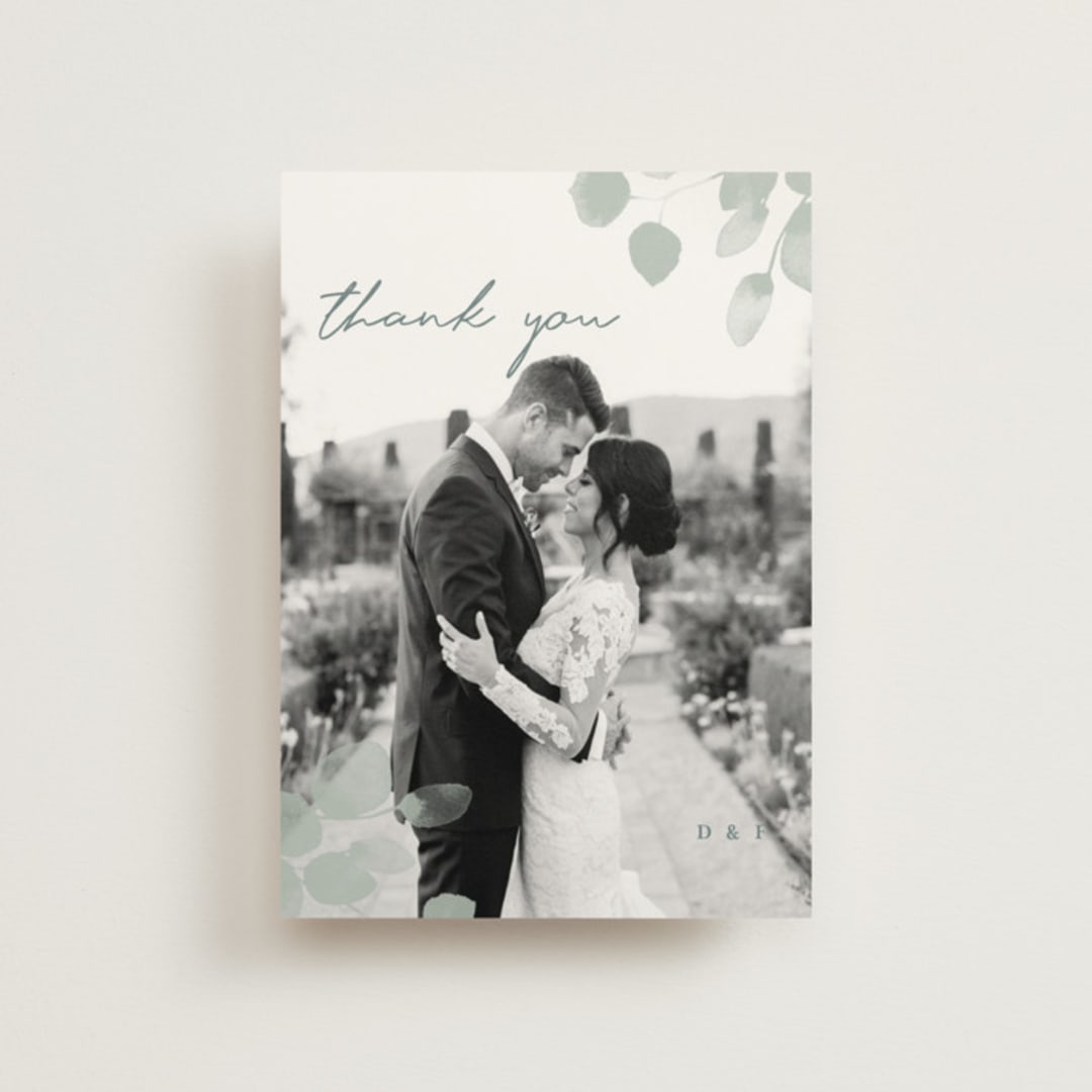"Silver Dollar Eucalyptus" - Wedding Thank You Postcards in Silver Dollar by Shannon Chen of Four Wet Feet Studio - Front