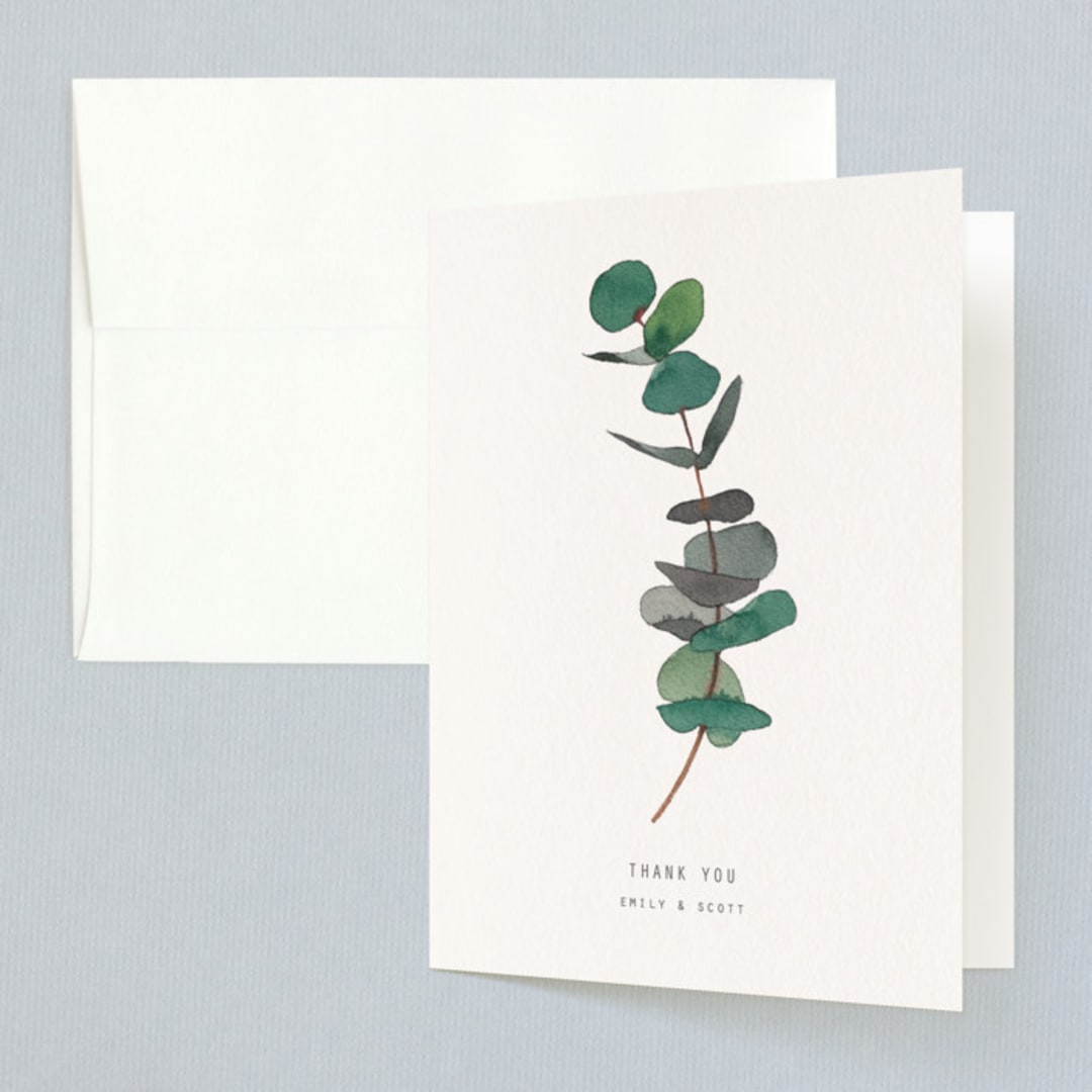 Eucalyptus