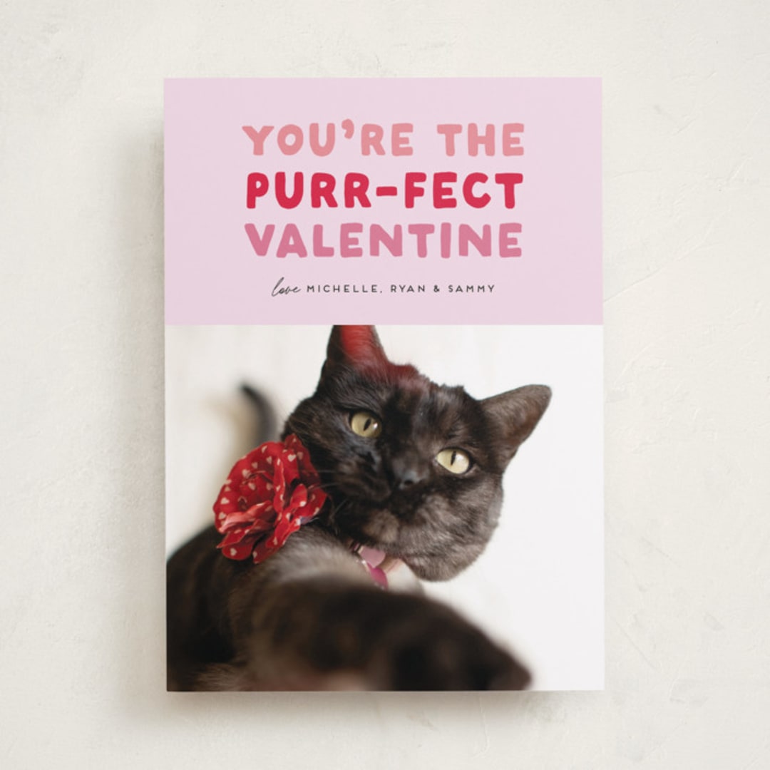 "Purr-fect Valentine" - Valentine's Day Cards in Berry by Carmia Jordaan - Front