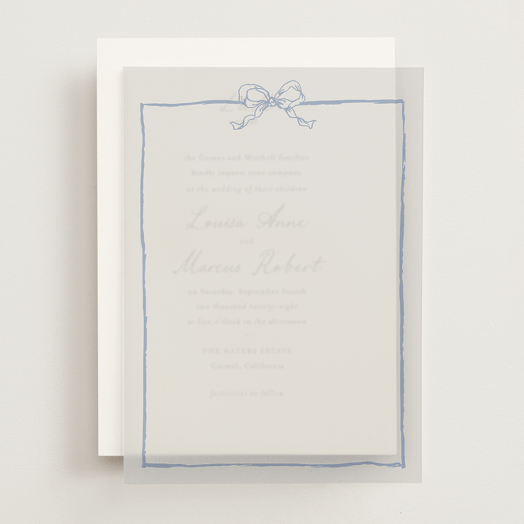 "ribbon bow drawing" - Vellum Overlays in Canopy by Cass Loh - Front
