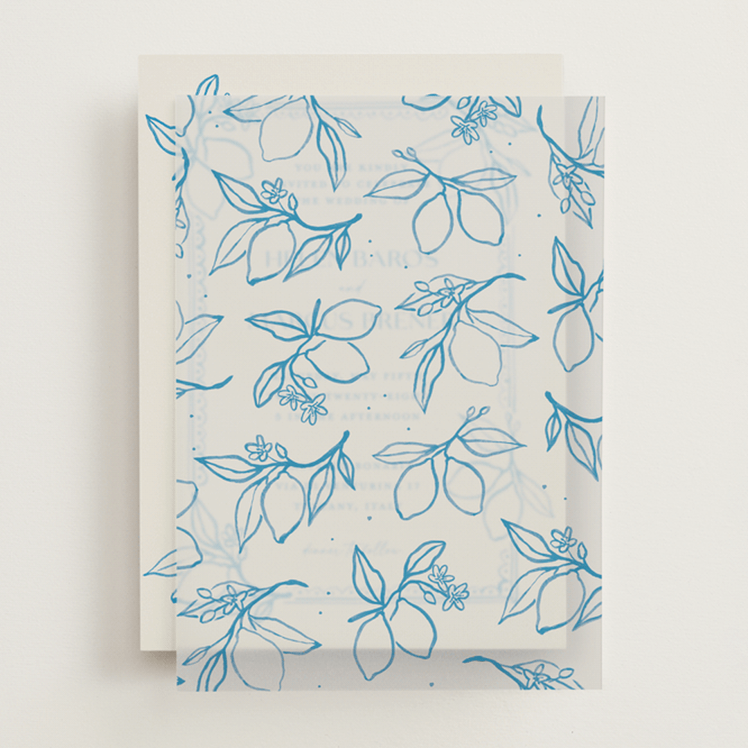 "Mediterraneo" - Vellum Overlays in Ocean by Pati Cascino - Front