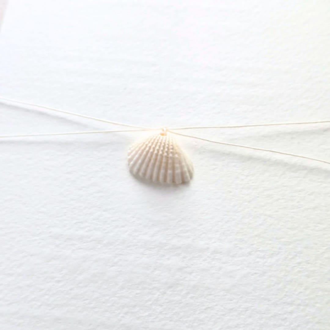 "Linen Thread and Seashell Belly Band- Customizable Thread Color- Set of 25" - Belly Bands in multicolor by Inkspiringletters