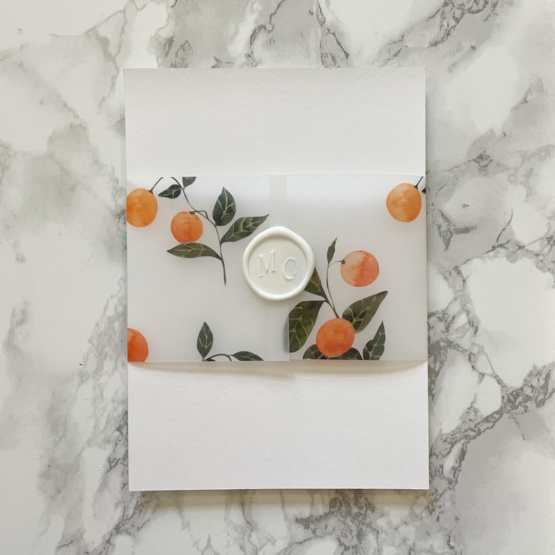 "Orange Vellum Belly Band for Invitaitons (25 Pack)" - Belly Bands in orange by Carley Zuercher
