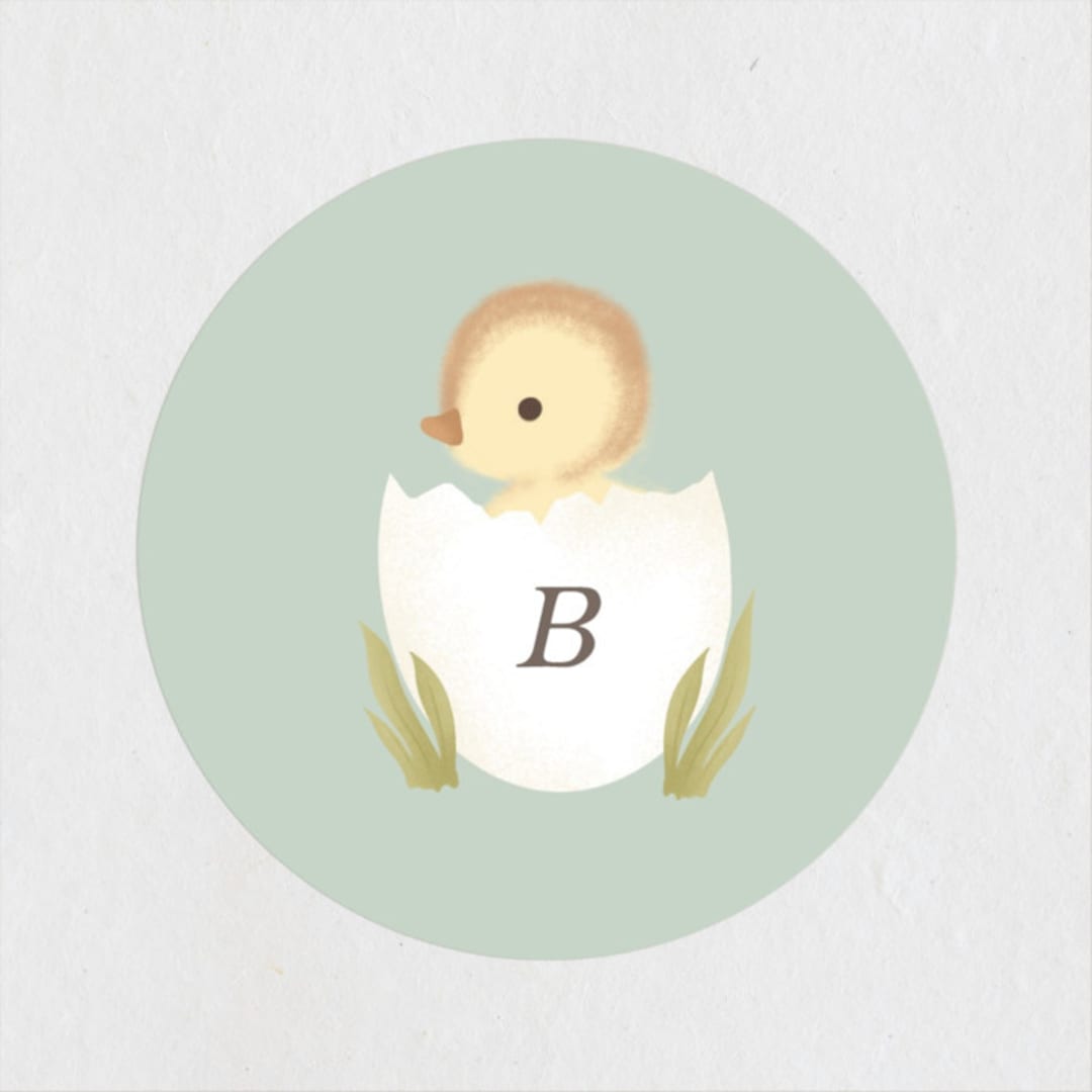 "Lil Duck" - Baby Shower Stickers in Sage by Itsy Belle Studio - Close-Up