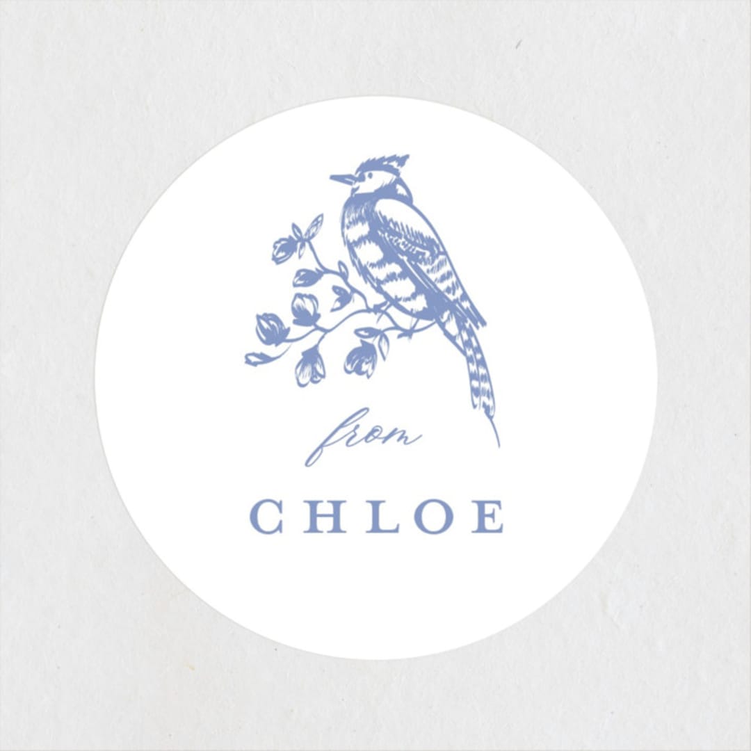"Dreamy Toile" - Baby Shower Stickers in Blueberry by Teju Reval - Close-Up