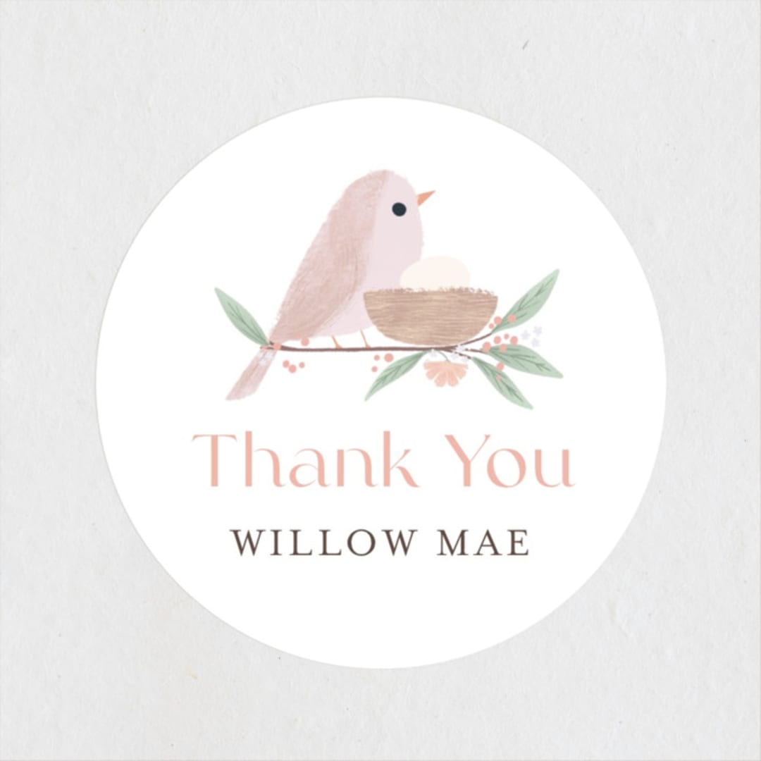 "Tweet Tweet" - Baby Shower Stickers in Blush by Itsy Belle Studio - Close-Up