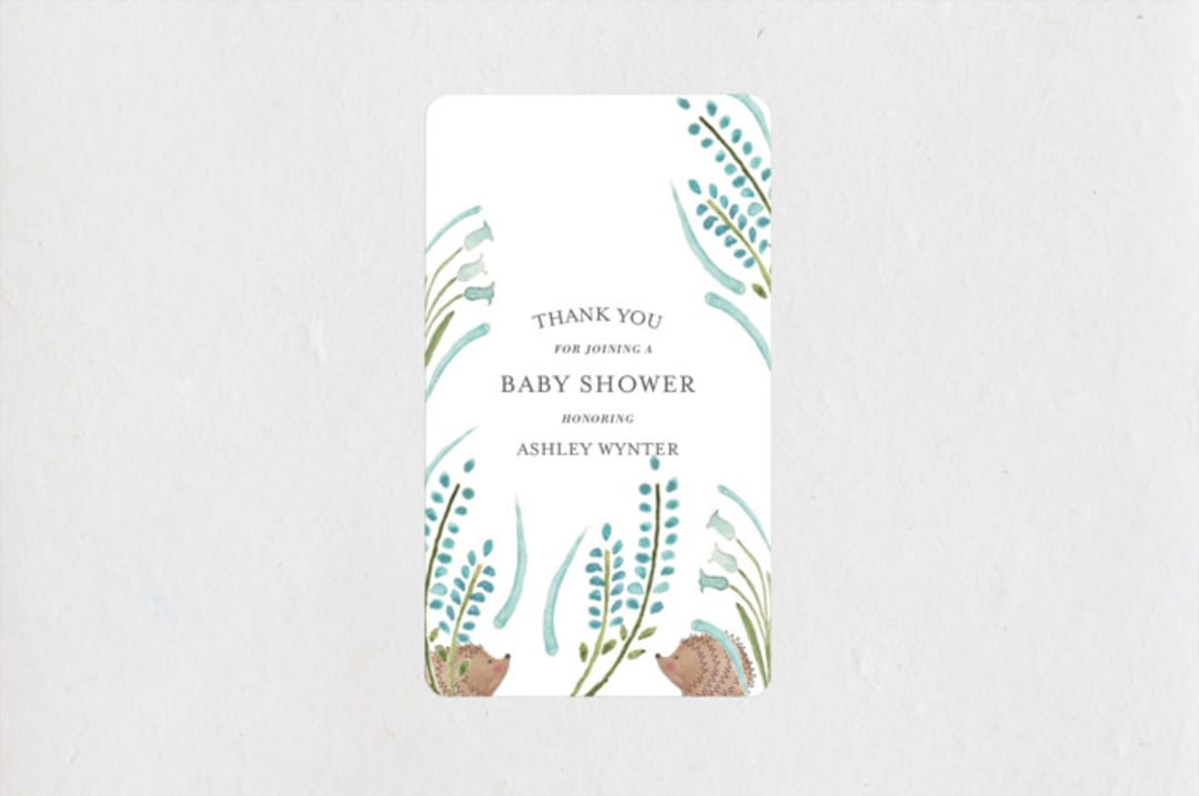"Hedge Hog Heaven" - Baby Shower Stickers in Robin's Egg by Hallie Fischer - Close-Up