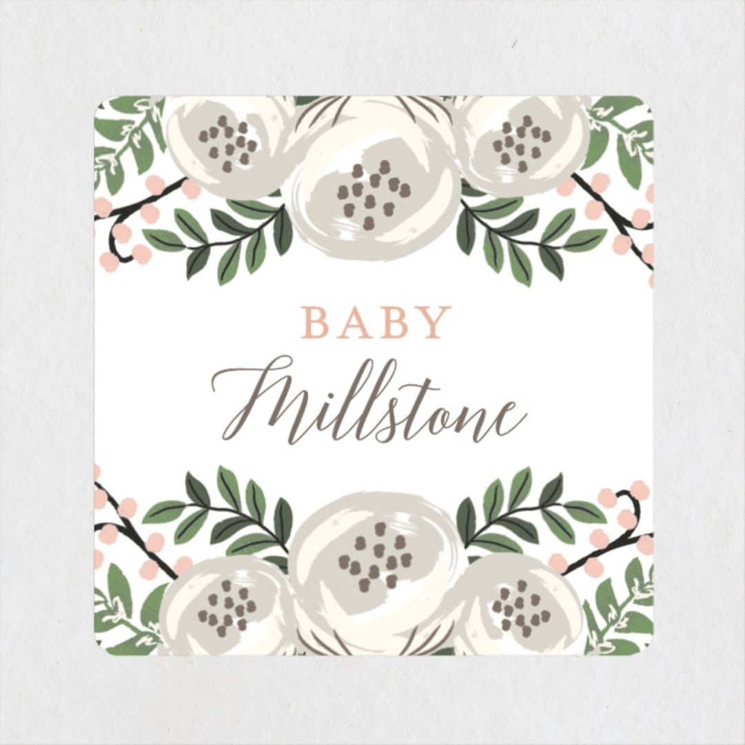 "Storybook Stack" - Baby Shower Stickers in Peony by Lehan Veenker - Close-Up