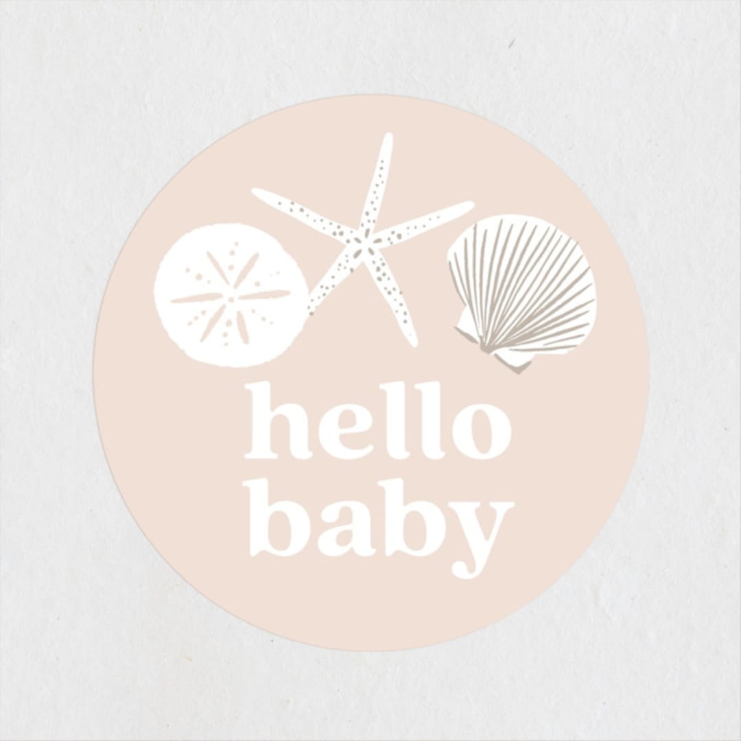 Seashell 