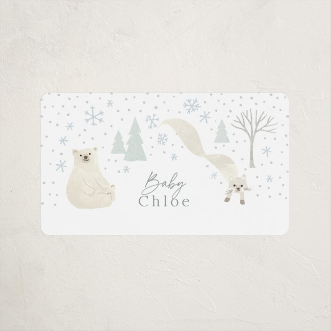 "Arctic friends" - Baby Shower Stickers in Seafoam by Jennifer Wick - Close-Up