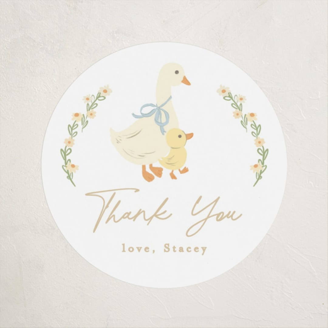 "Vintage goose" - Baby Shower Stickers in Sky by Creo Study - Close-Up