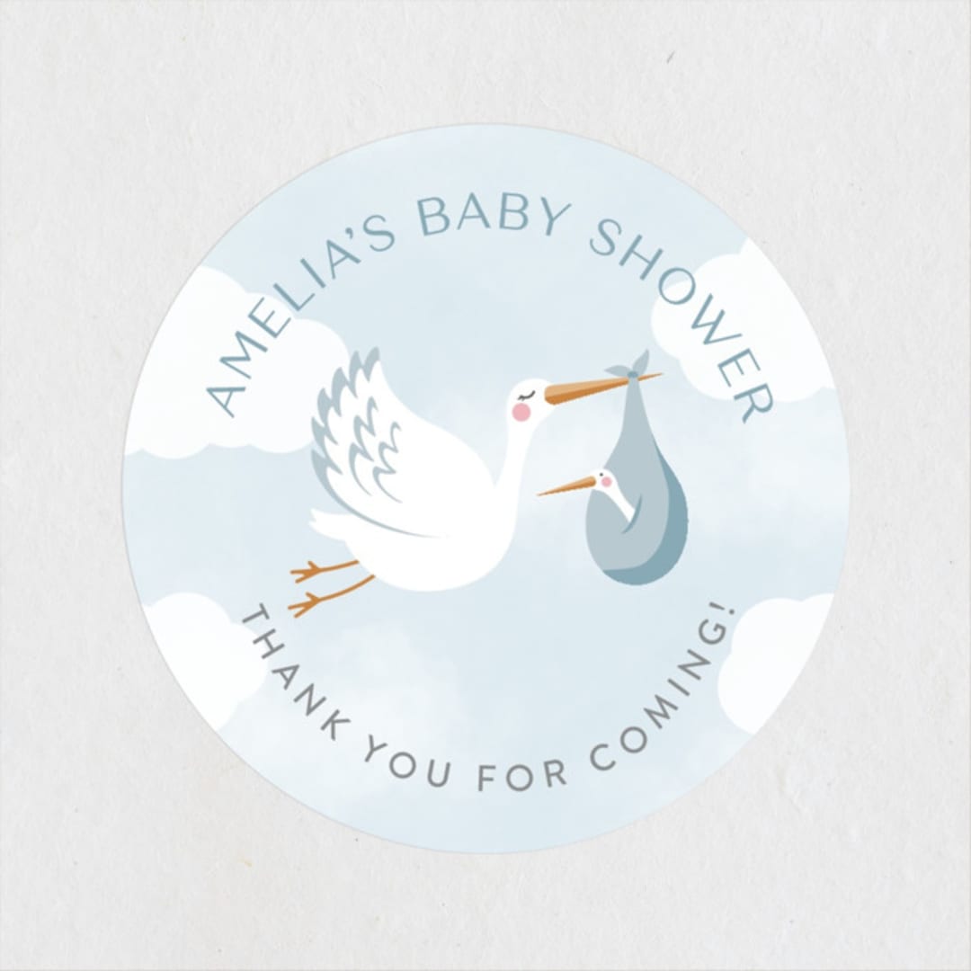 Baby Stork