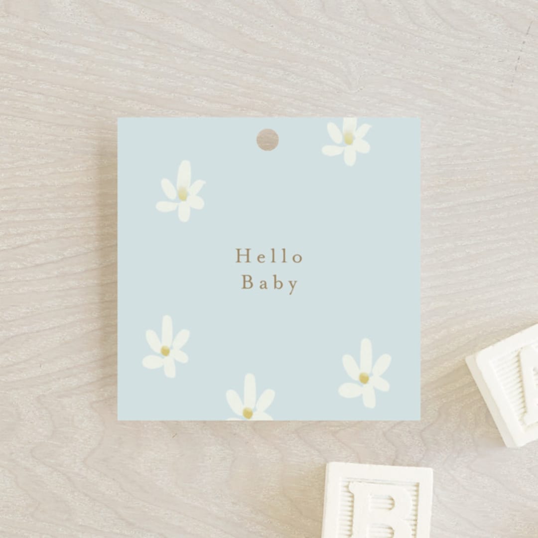 "Daisies" - Baby Shower Favor Tags in Baby Blue by Ani Somi - Front
