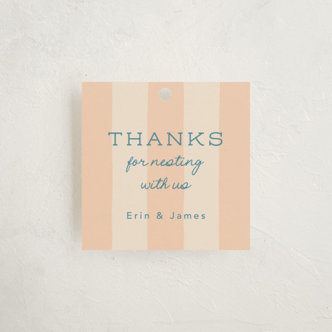 "Nesting Toolbox" - Baby Shower Favor Tags in Peachy by Leia Matt - Front