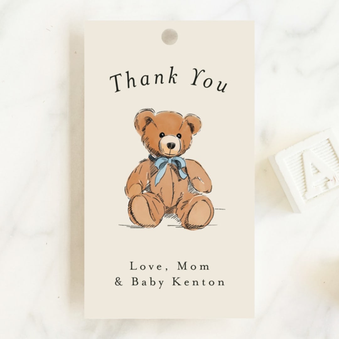 "Antique Teddy Bear" - Baby Shower Favor Tags in Frost by Becky Nimoy - Front