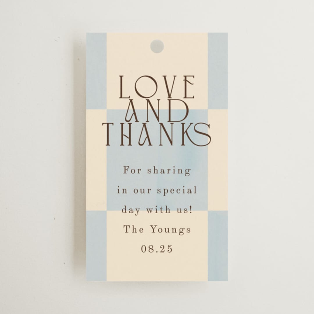 "Checker Wash" - Wedding Favor Tags in Ivory by Baumbirdy - Front