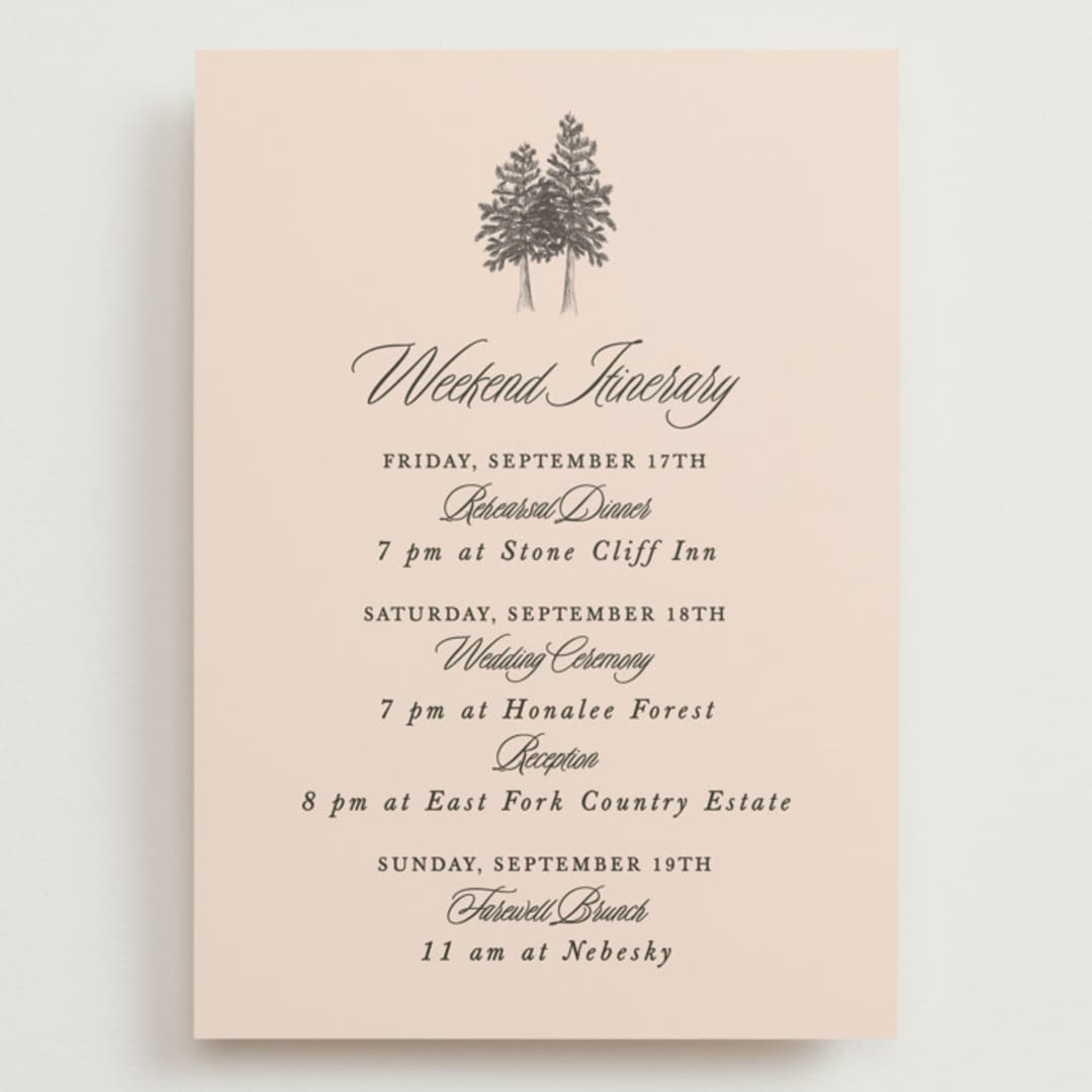 "Arboretum" - Wedding Weekend Itinerary Cards in Almond by Morgan Kendall - Front