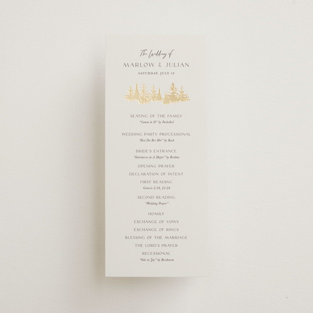 "Vista" - Wedding Programs in Fallen Snow by Robin Ott - Front