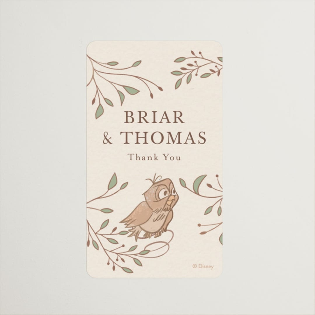 "Disney Storybook" - Wedding Favor Stickers in Autumn by Morgan Ramberg - Front