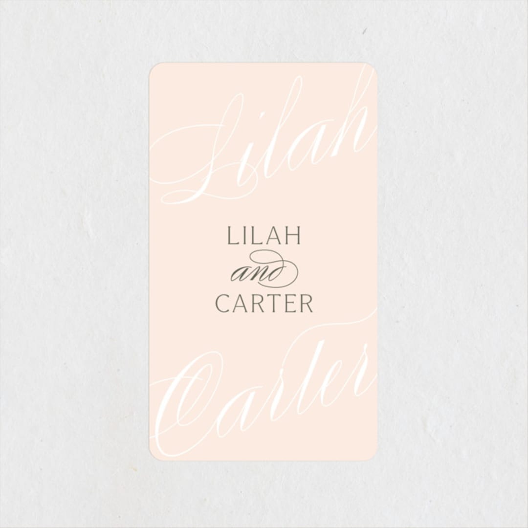 "Classic Lux" - Wedding Favor Stickers in Blush by Stacey Day - Front
