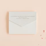 "Illusion" - Savvy Wedding Invitations in Sand by Jackie Mangiolino - Closed