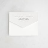 "Sophisticate" - Savvy Wedding Invitations in Silk by Kelly Schmidt - Closed