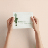 "Postcard from the Desert" - Savvy Wedding Invitations in Sunset by Pink House Press - How it works