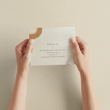 "Lineup" - Savvy Wedding Invitations in Latte by Jennifer Lew - How it works