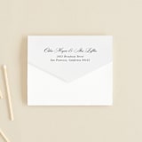 "Dust" - Savvy Wedding Invitations in Sienna by Carrie ONeal - Closed