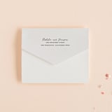 "Destination" - Savvy Wedding Invitations in Mist by Lori Wemple - Closed