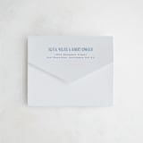 "Riviera" - Savvy Wedding Invitations in Ocean by Kelly Schmidt - Closed