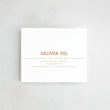 "Sienna" - Savvy Wedding Invitations in Salmon by Ellen Schlegelmilch - FREE Recipient Addressing