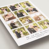 "A Year in My Life" - Wedding Announcements in Snowfall by Robin Ott - Detail