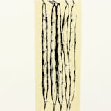 "Harvest String Beans" - Limited Edition Fine Art Print in multicolorassorted-colors by Dana Williamowsky