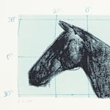 "Horse Latitudes" - Limited Edition Fine Art Print in multicolorassorted-colors by Dana Williamowsky