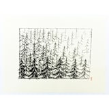 "Pine Forest" - Limited Edition Fine Art Print in black by Dana Williamowsky