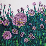 "Garden Sketch Flowering Chives" - Limited Edition Fine Art Print in green by Janie Allen