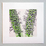 "Garden Sketch Giant Hyssop" - Limited Edition Fine Art Print in green by Janie Allen