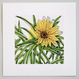 "Garden Sketch Maximilian Sunflower" - Limited Edition Fine Art Print in yellow by Janie Allen