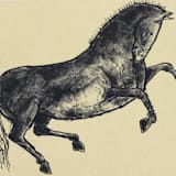 "Jumping Horse" - Limited Edition Fine Art Print in multicolorassorted-colors by Dana Williamowsky