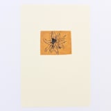 "Orange Flower" - Limited Edition Fine Art Print in multicolorassorted-colors by Dana Williamowsky