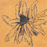 "Orange Flower" - Limited Edition Fine Art Print in multicolorassorted-colors by Dana Williamowsky